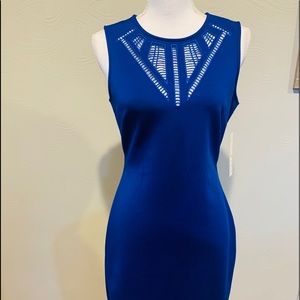 Bodycon dress. New with tags